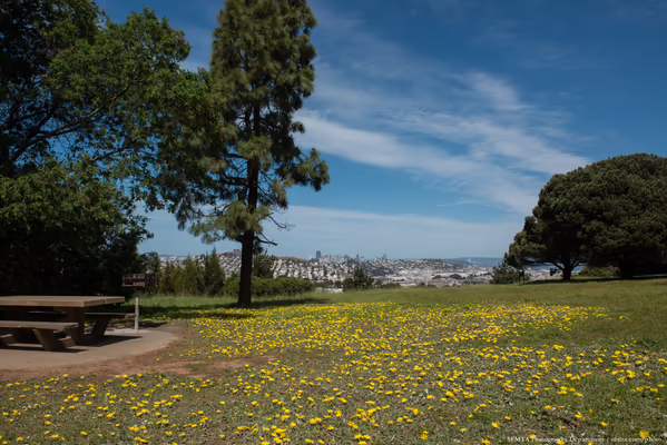 McLaren Park photo 1